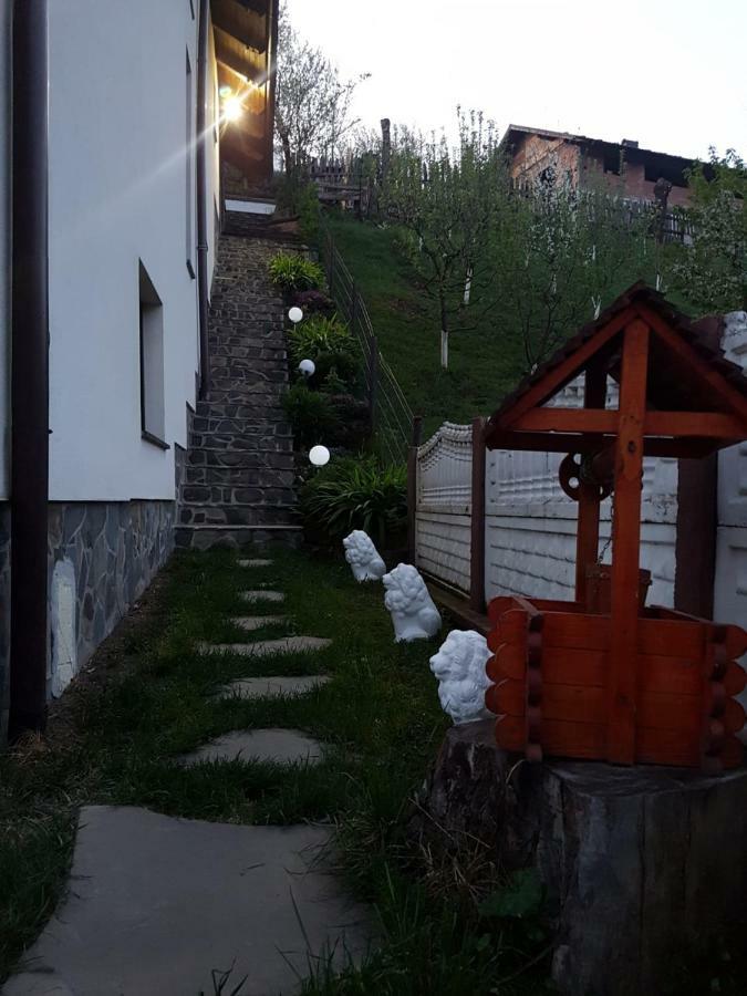 Pensiunea Rustic Borşa エクステリア 写真